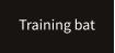 Training bat