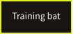 Training bat