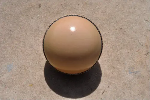 Rawhide Balls